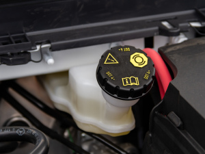 2021款A 180 L 运动轿车 其它