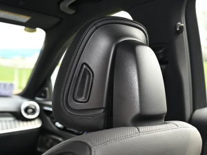 2022C 260 L ҹ\(yn)(dng) g