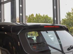 2022300 L 4MATIC (dng) (x)(ji)^