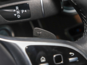 2022300 L 4MATIC Ӹ п؅^