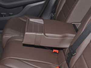 2022款300 L 4MATIC 豪华型 后排中央扶手