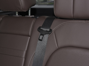 2022300 L 4MATIC A g