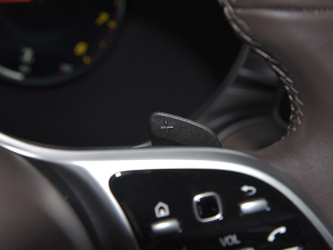 2022Ŀ 300 L 4MATIC A п؅^