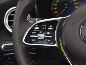 2022Ŀ 300 L 4MATIC (dng) п؅^(q)