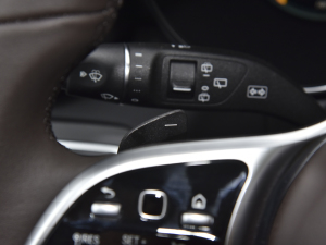 2022Ŀ 300 L 4MATIC (dng) п؅^(q)