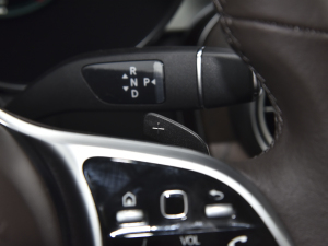 2022Ŀ 300 L 4MATIC (dng) п؅^(q)