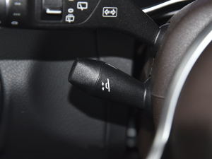 2022Ŀ 300 L 4MATIC (dng) п؅^(q)