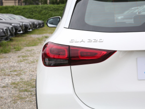 2022GLA 220 ^