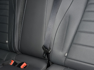 2022Ŀ E 300 L \(yn)F g