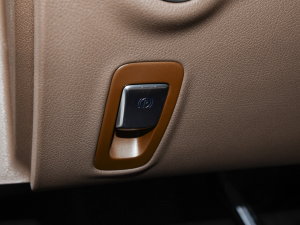 2023款E 350 e L插电式混合动力轿车 驻车制动器