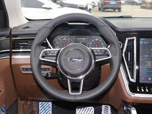 2017款贺岁版 1.8T 自动尊享型 方向盘