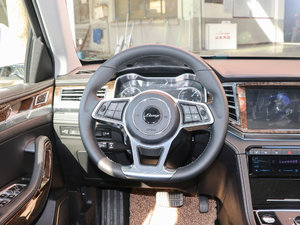 2017款2.0T DCT至尊型 方向盘