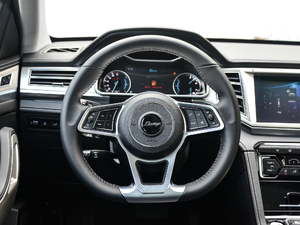 2017款上进版 1.8T DCT华山型 方向盘
