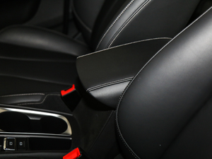 201920T 4G(lin)Ş g