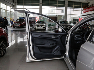 201920T 4G(lin)Ş g