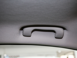 201920T 4G(lin)Ş g