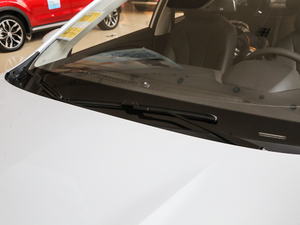 201920T Ԅ(dng)(lin)W(wng) (x)(ji)^