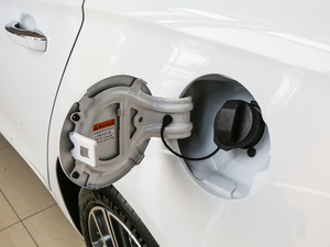 201920T Ԅ(dng)(lin)W(wng) (x)(ji)^