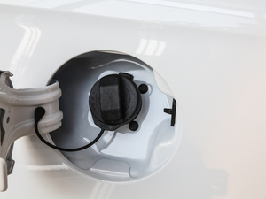 201920T Ԅ(dng)(lin)W(wng) (x)(ji)^