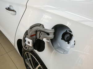 201920T Ԅ(dng)(lin)W(wng) (x)(ji)^