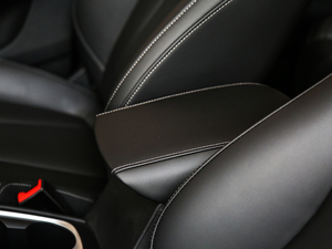 201920T Ԅ(dng)(lin)W(wng) g