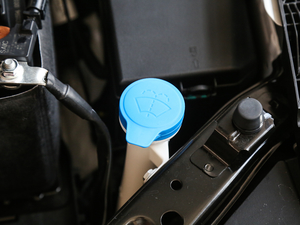 201920T Ԅ(lin)W(wng) 