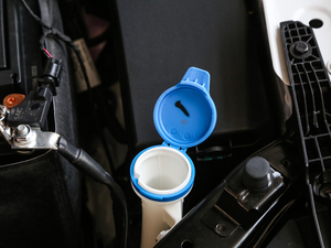 201920T Ԅ(lin)W(wng) 