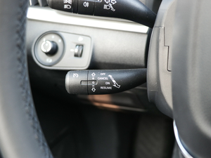 2019PLUS 20T TST 4G(lin)Şٝ п؅^(q)