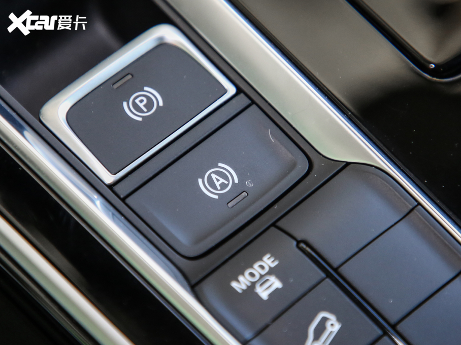 2019sRX5 MAX 300TGI ԄœA