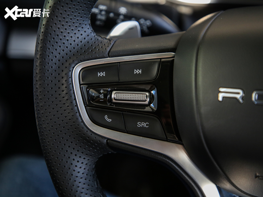 2019sRX5 MAX 300TGI ԄœA