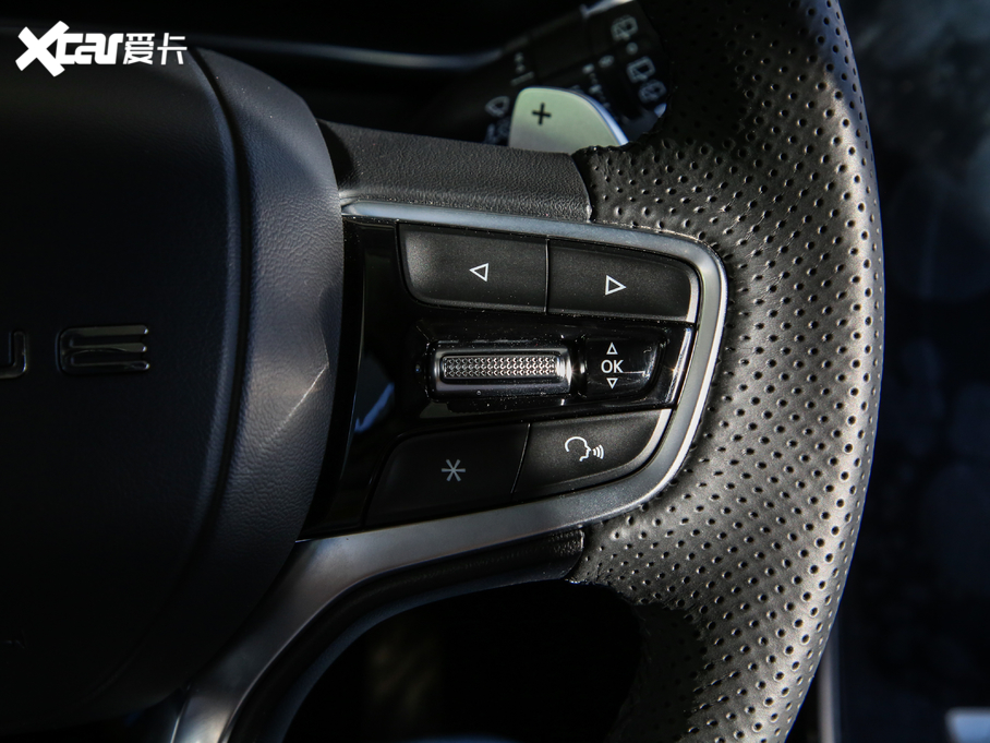 2019sRX5 MAX 300TGI ԄœA