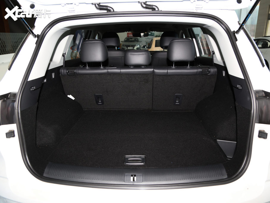 2019sRX5 MAX 400TGI Ԅ4GA