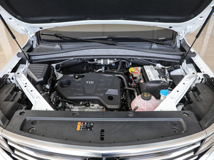 2019300TGI ԄœŞ lәC