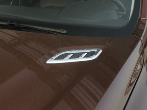 201930T (lin)W(wng)(q)Ⱥ (x)(ji)^