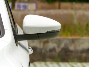 2020款PLUS 1.6L 手动4G互联荣耀旗舰版 后视镜
