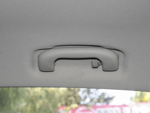 2020PLUS 1.6L CVT 4G(lin)sҫA g