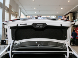 2020PLUS 1.6L ք4GsҫA g