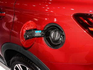 202020T Ԅ4GԽŞ w