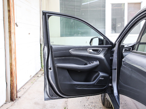 2020PLUS 300TGI Ԅ(dng)Alis g