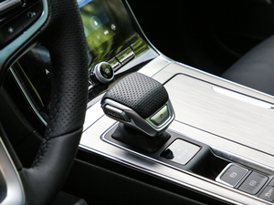 2020PLUS 300TGI ԄAlis п؅^