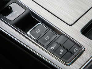 2020PLUS 300TGI ԄAlis п؅^