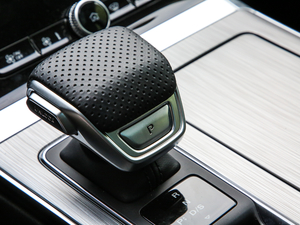 2020PLUS 300TGI ԄAlis п؅^