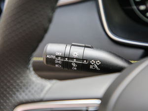 2020PLUS 300TGI ԄAlis п؅^