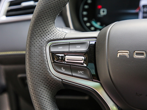 2020PLUS 300TGI ԄAlis п؅^(q)