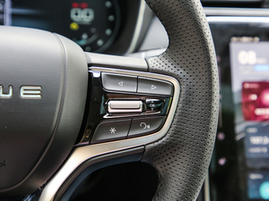 2020PLUS 300TGI ԄAlis п؅^(q)