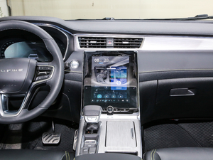 2020PLUS 300TGI ԄAlis п؅^(q)