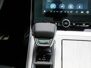 2020PLUS 300TGI ԄAlis п؅^(q)