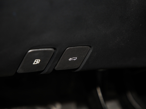 2020PLUS 300TGI ԄAlis п؅^