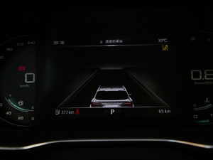 2020PLUS 300TGI ԄAlis п؅^