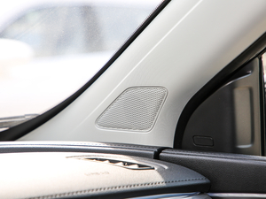 2020PLUS 300TGI ԄAlis п؅^